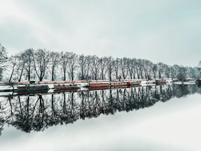 Kashmir